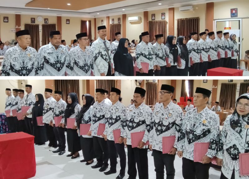 Bidang PGRI Papua Selatan - Persatuan Guru Republik Indonesia Cabang Papua Selatan